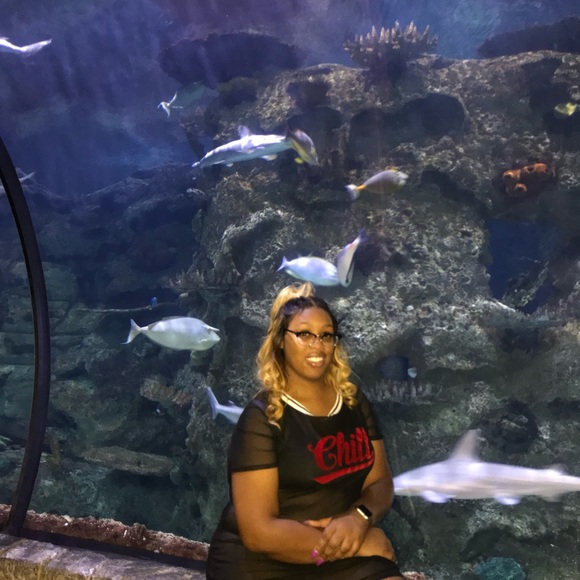 Meet your Posher, Alexis - Picture 1 of 1